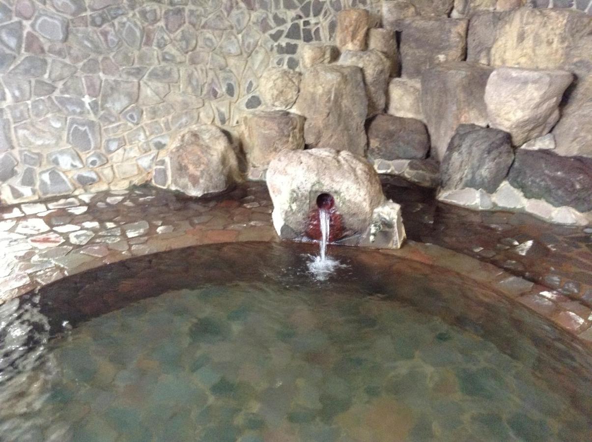 Shiga Riverside Hotel Yamanouchi  Dış mekan fotoğraf